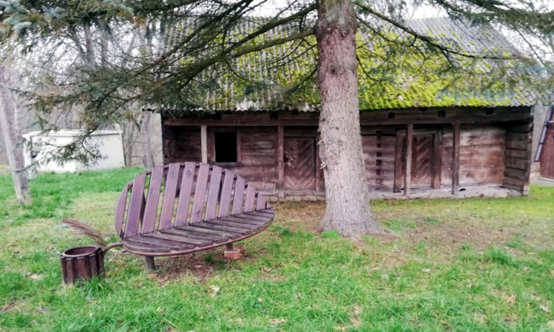 TOKIA MŪSŲ KASDIENYBĖ. Žvalgomės po Plokščius