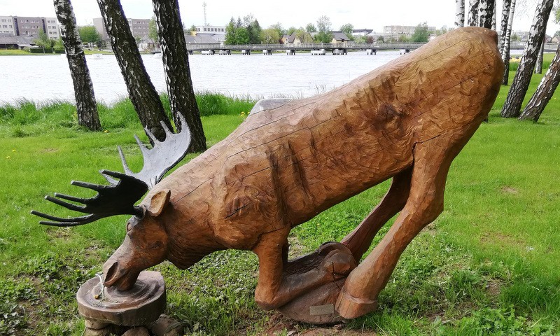 Vasaros gidas. Širvintų briedžiai
