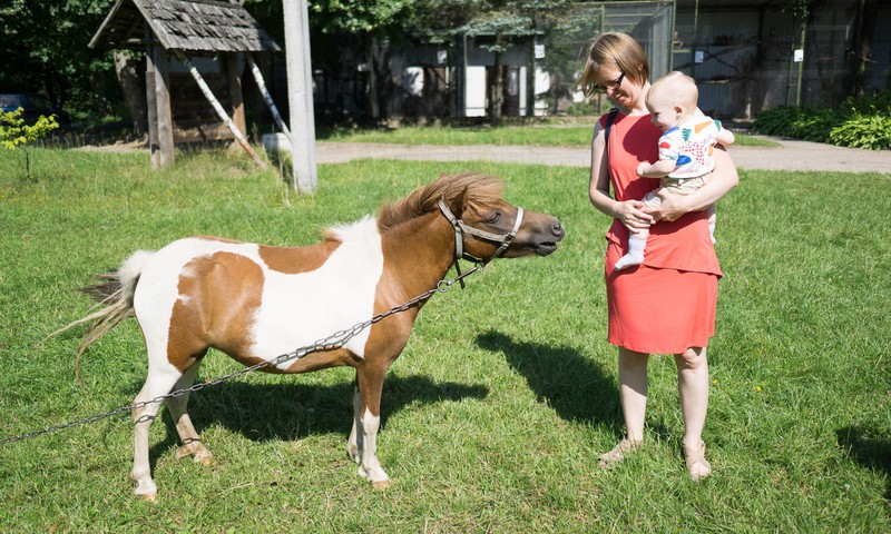 Lankomės mini zoologijos sode
