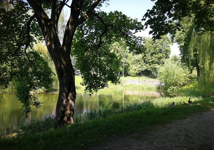 Vasaros gidas: Žvėryno tvenkiniai Vilniuje