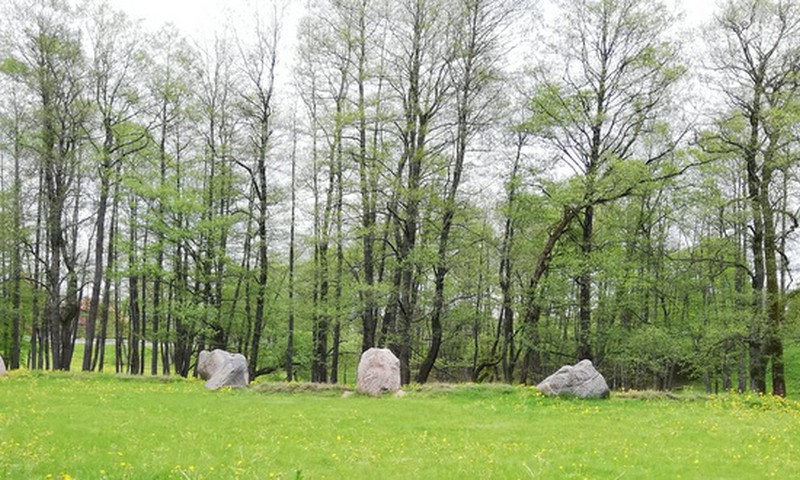 Vasaros gidas. Akmeniniai "Grįžulo ratai" Kaltanėnuose