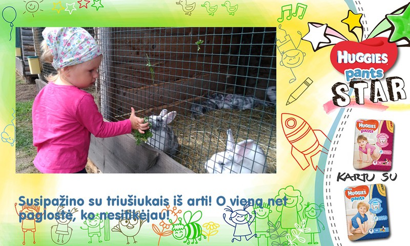 Akistata su triušiukais!