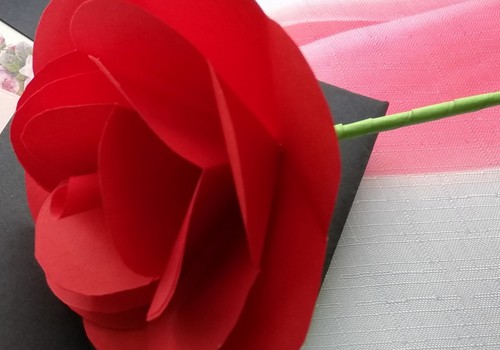 TOKIA MŪSŲ KASDIENYBĖ. Popieriaus galia...