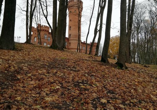 TOKIA MŪSŲ KASDIENYBĖ. Raudonės pilies mlūne.