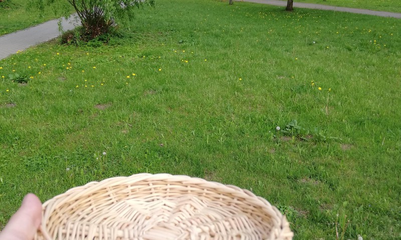 TOKIA MŪSŲ KASDIENYBĖ.Senųjų amatų besimokant