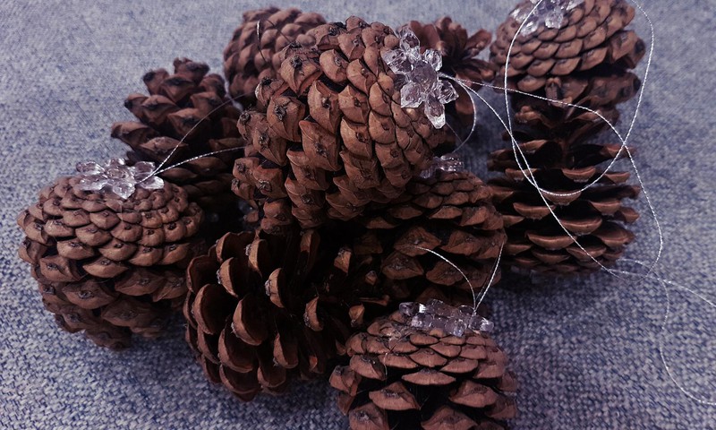 Papuošimai „arčiau gamtos"