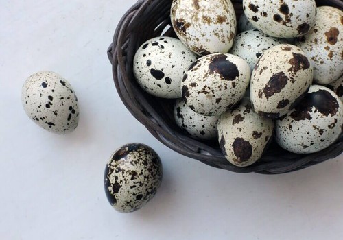 Putpelių kiaušiniai: nuo kada vaikams?