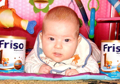 Friso Gold 1 pieno mišinio testavimas ir atsiliepimas
