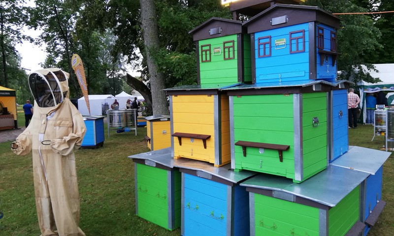 TOKIA MŪSŲ KASDIENYBĖ. Bitininkų festivalis Gelgaudiškyje