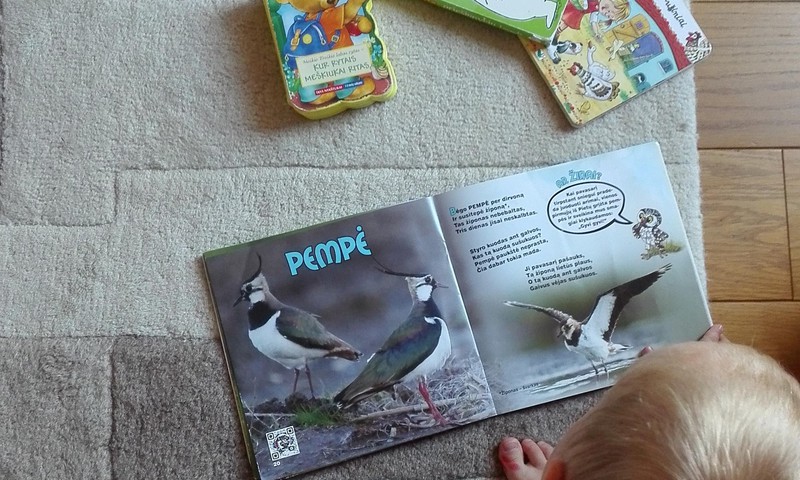 Ką skaitome su 2—mečiu