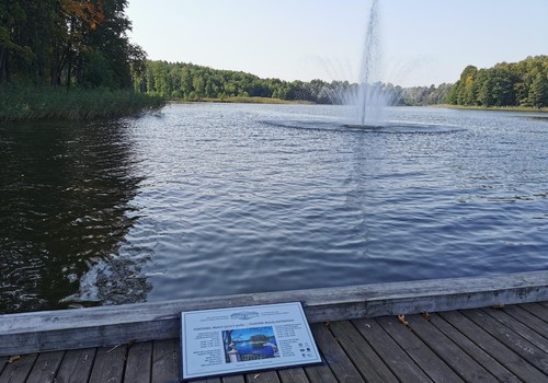 Ilzbergo dvaro burtai