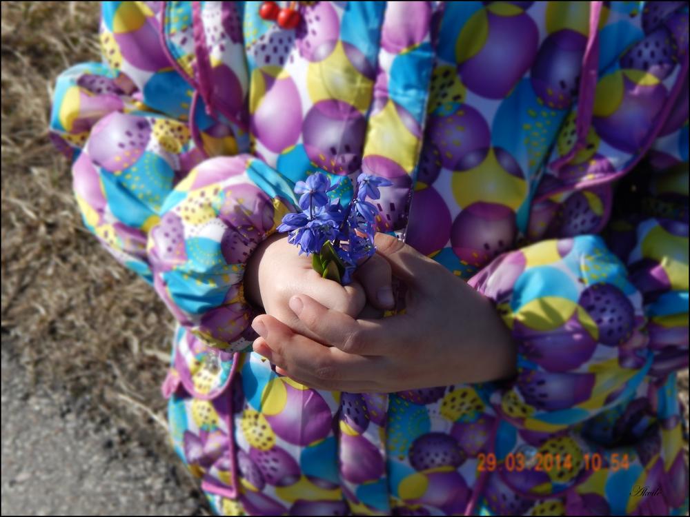 20140329182410-15234.jpg
