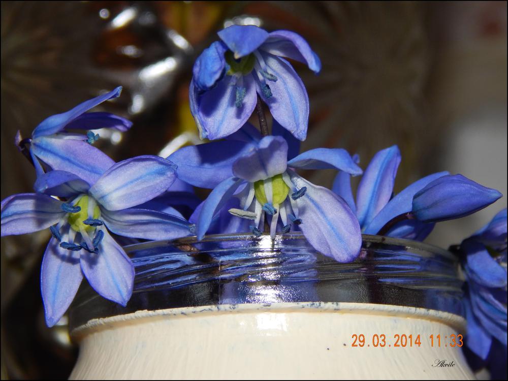 20140329182424-83223.jpg